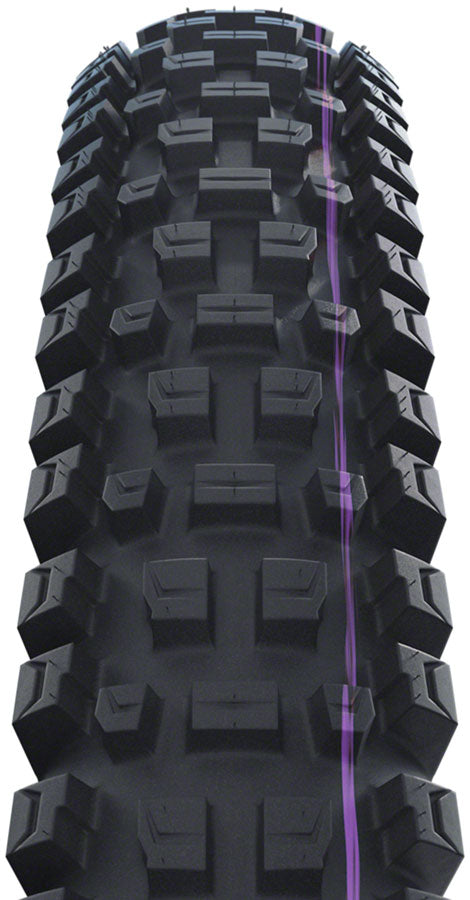 Schwalbe Albert Tire 29" x 2.50 Tubeless Black  Evolution Line Gravity Pro Addix Ultra Soft Radial E-50